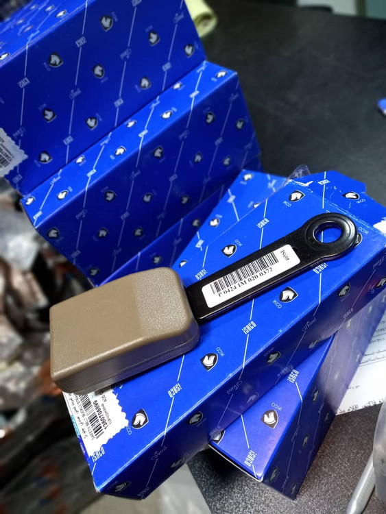 مادگی کمربند