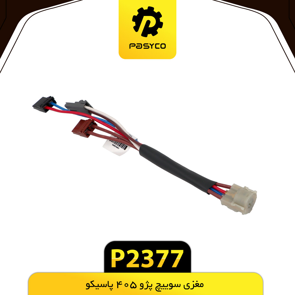 مغزی سویچ استارت پژو 405 پاسیکو
